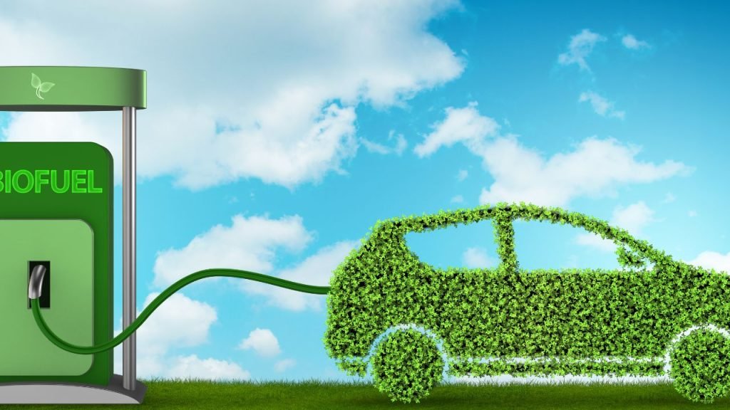 Drive Towards A Greener Summer: 5 Environmental Pitfalls to Avoid While on the Road